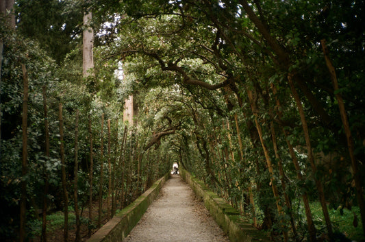 PIACERI COMUNI - Sessualità anale