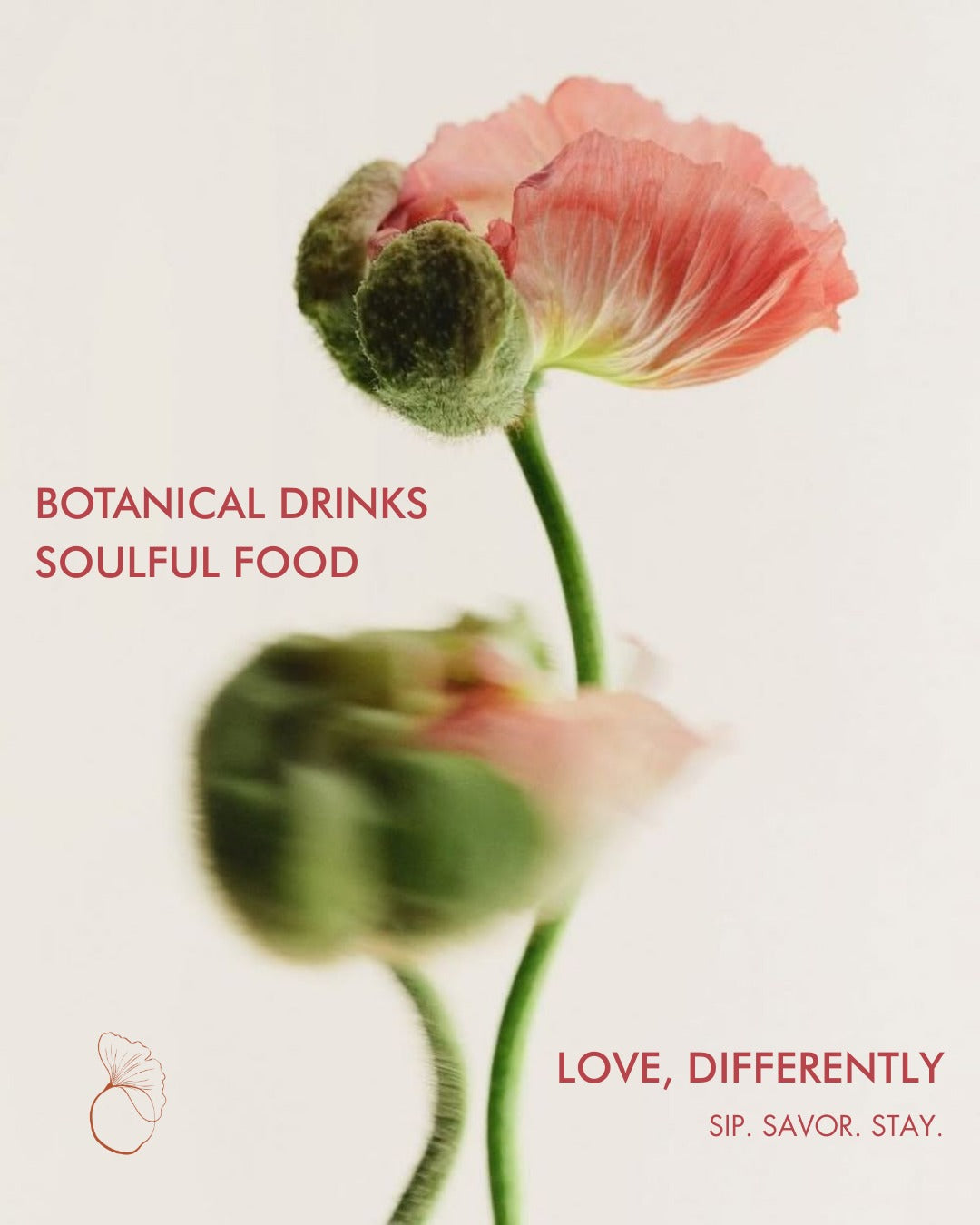 When LOVE is a Space You Step In - February 13 2026 - 4-9 PM