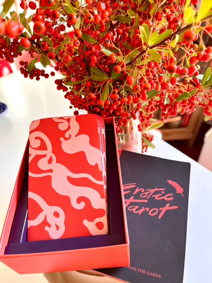 scatola aperta dei tarocchi erotici illustrati da sofie birkin con libretto di istruzioni