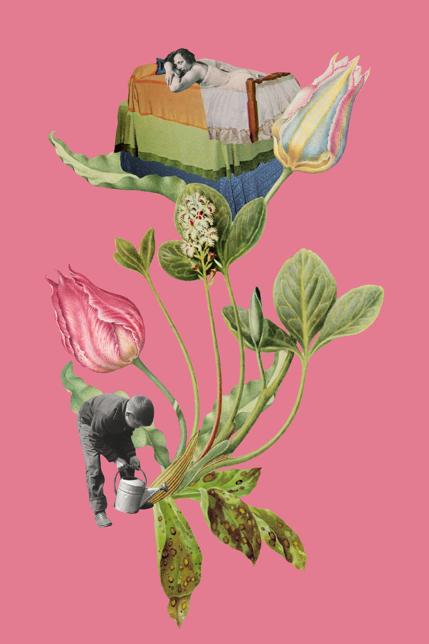 SOGNO (EROTICO) DI UNA NOTTE DI MEZZA PRIMAVERA  - Workshop di collage - 26 Aprile 2026 10:30