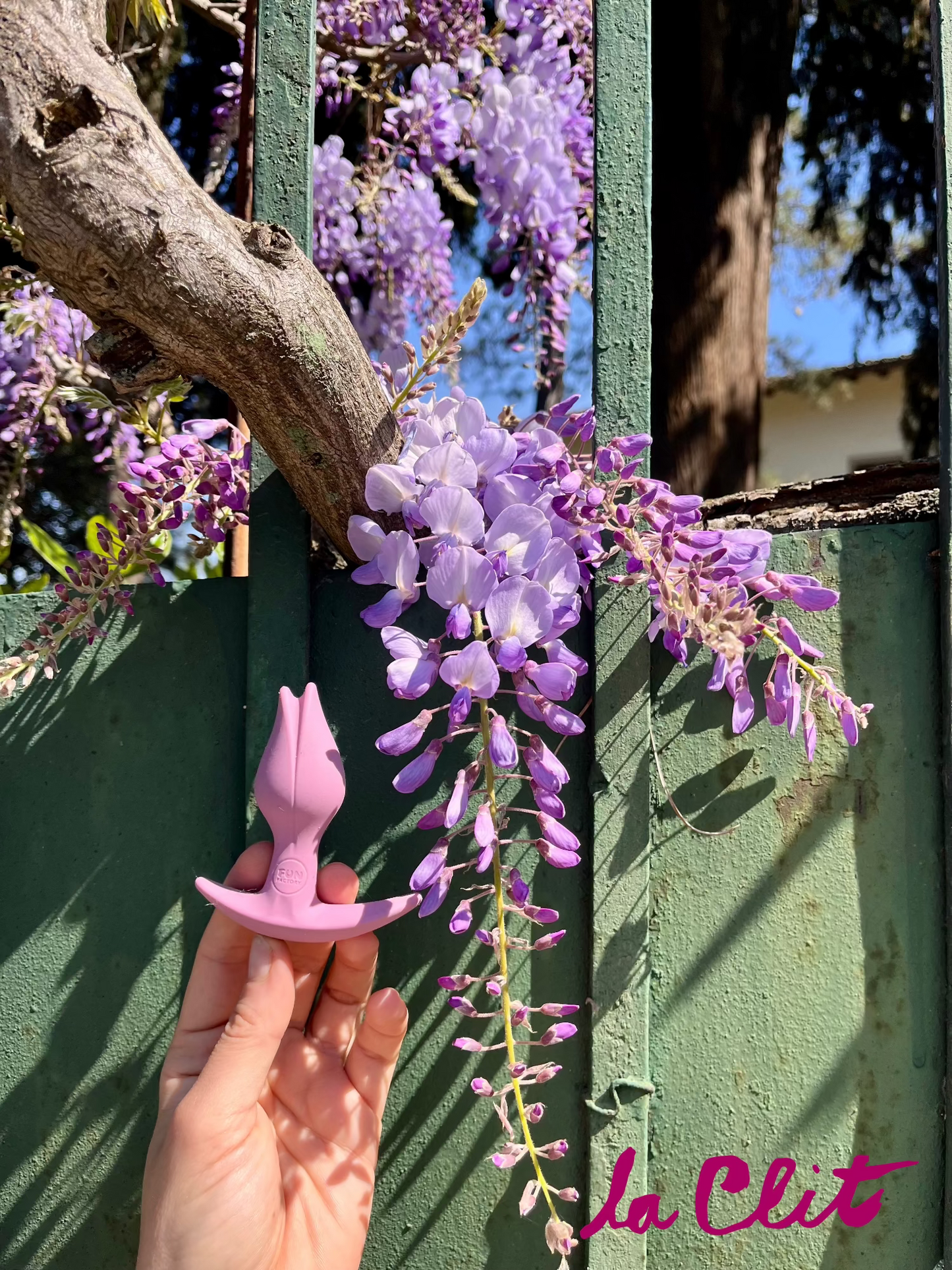 Plug anale per chi ha la clitoride, plug anale per donne, a forma di tulipano, rosa, insieme a dei fiori di glicine, made in germany, doppia penetrazione
